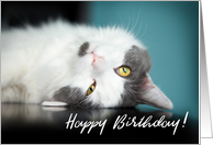 Happy Birthday Adorable Kitty Cat card