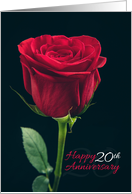 Happy 20th Anniversary Red Rose card