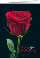 Happy 5th Anniversary Red Rose card