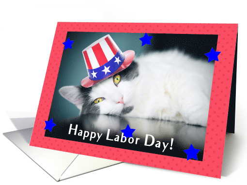 Happy Labor Day Cute Cat in Patriotic Hat card (1533702)