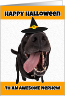 Happy Halloween to an Awesome Nephew Cute Dog in Costume Humor card