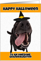 Happy Halloween to an Awesome Granddaughter Cute Dog in Costume Humor card