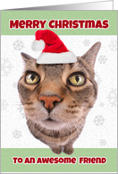Merry Christmas Friend Funny Cat in Santa Hat Humor card