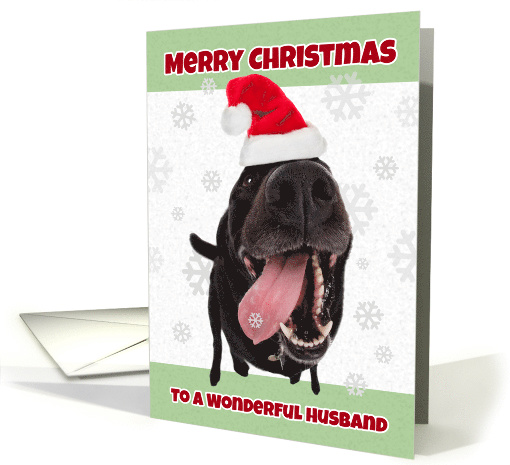 Merry Christmas Husband Funny Dog in Santa Hat Humor card (1535932)