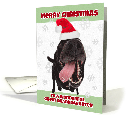 Merry Christmas Great Granddaughter Funny Dog in Santa Hat Humor card