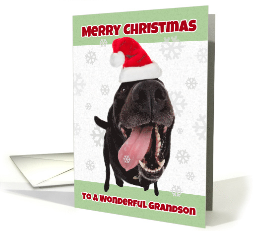 Merry Christmas Grandson Funny Dog in Santa Hat Humor card (1535950)