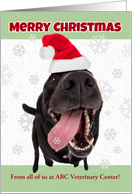 Merry Christmas From Custom Veterinary/Groomer Dog in Santa Hat Humor card