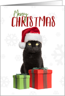 Merry Christmas Cute Black Cat in Santa Hat Humor card
