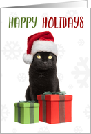 Happy Holidays Cute Black Cat in Santa Hat Humor card