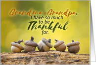 Happy Thanksgiving Grandma and Grandpa Fall Acorns card