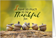 Happy Thanksgiving For Anyone Fall Acorns card