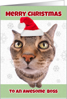 Merry Christmas Boss Funny Cat in Santa Hat Humor card