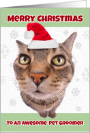 Merry Christmas Pet Groomer Funny Cat in Santa Hat Humor card
