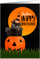 Happy Halloween Nephew Cute Black Cat in Pumpkin card