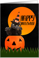Happy Halloween For Anyone Cute Black Cat in Pumpkin card