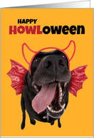 Happy Hallowen For Anyone Cute Fog in Costume Humor card