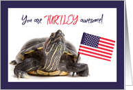 Happy Veteran’s Day Turtle Holding US Flag Humor card