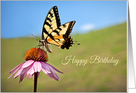 Happy Birthday For Anyone Beautiful Butterfly Photograph card