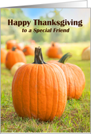 Happy Thanksgiving to a Special Friend Pumpkin Patch card
