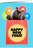 Happy New Year For Anyone Cat in a Bag with Balloons card