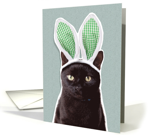 Happy Easter For Anyone Funny Cat in Bunny Ears Humor card (1545682)