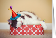 Have a Nappy (Happy) Birthday Sleeping Cat Humor card