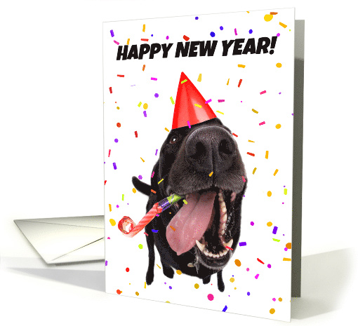 Happy New Year Funny Dog Celebrating Humor card (1546134)