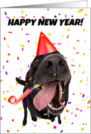 Happy New Year Funny Dog Celebrating Humor card