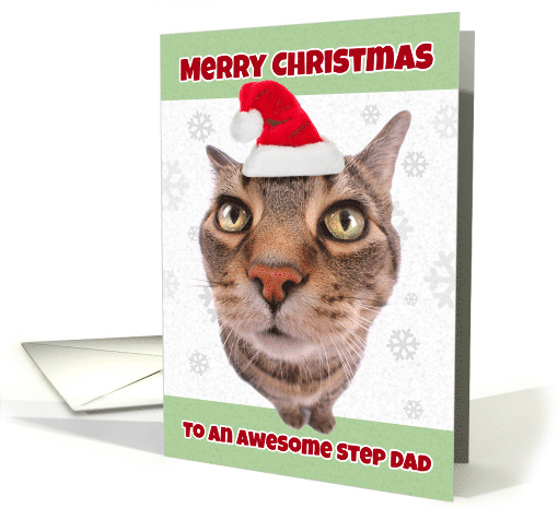 Merry Christmas Step Dad Cat in Santa Hat Humor card (1546612)