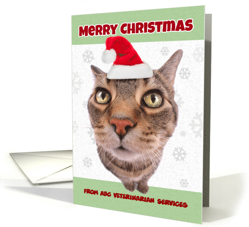 Merry Christmas Custom Cat in Santa Hat Humor card (1546626)