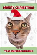 Merry Christmas Neighbor Cat in Santa Hat Humor card