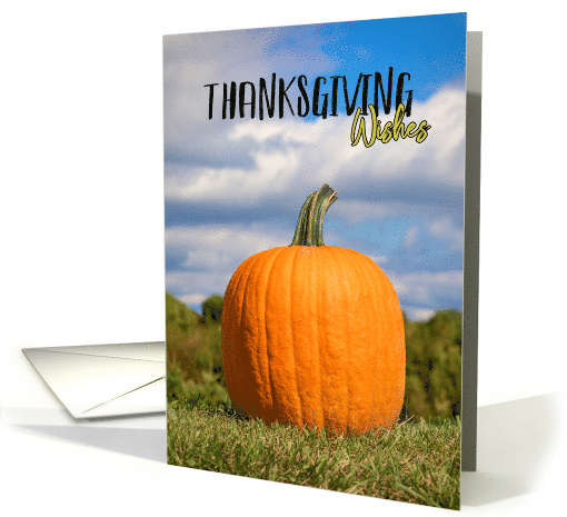 Happy Thanksgiving For Anyone Pumpkin card (1547602)
