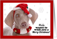 Merry Christmas Custom Dog Name Humor card