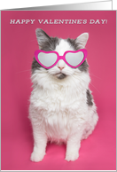 Happy Valentine’s Day For Anyone Cat in Heart Glasses Humor card