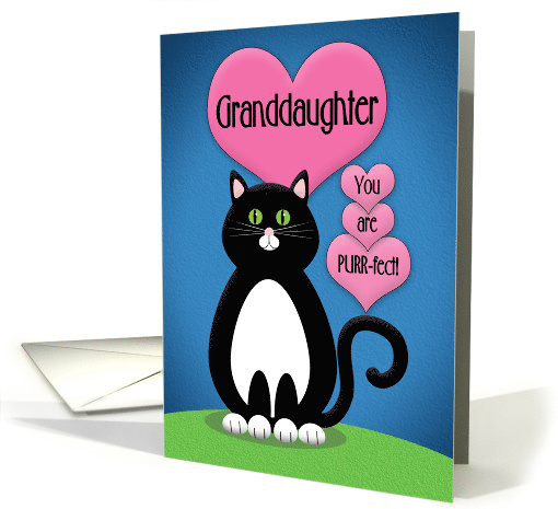 Happy Valentine's Day Granddaughter Cute Tuxedo Cat card (1552030)