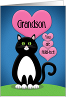 Happy Valentine’s Day Grandson Cute Tuxedo Cat card