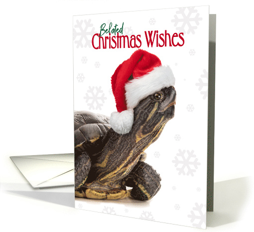 Belated Christmas Wishes Turtle in Santa Hat Humor card (1552050)