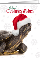 Belated Christmas Wishes Turtle in Santa Hat Humor card