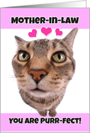 Happy Valentine’s Day Mother-in-Law Cute Kitty Cat card