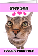 Happy Valentine’s Day Step Son Cute Kitty Cat card