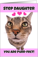 Happy Valentine’s Day Step Daughter Cute Kitty Cat card