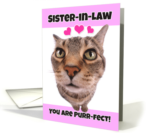 Happy Valentine's Day Sister-in-Law Cute Kitty Cat card (1552134)