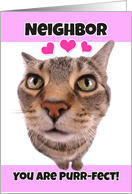 Happy Valentine’s Day Neighbor Cute Kitty Cat card