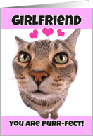 Happy Valentine’s Day Girlfriend Cute Kitty Cat card