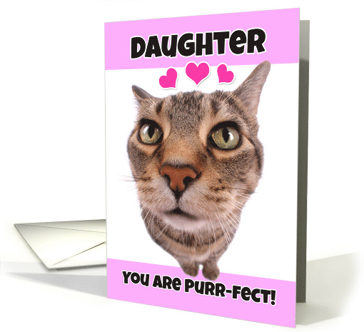 Happy Valentine's Day Daughter Cute Kitty Cat card (1552220)