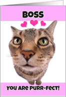 Happy Valentine’s Day Boss Kitty Cat card