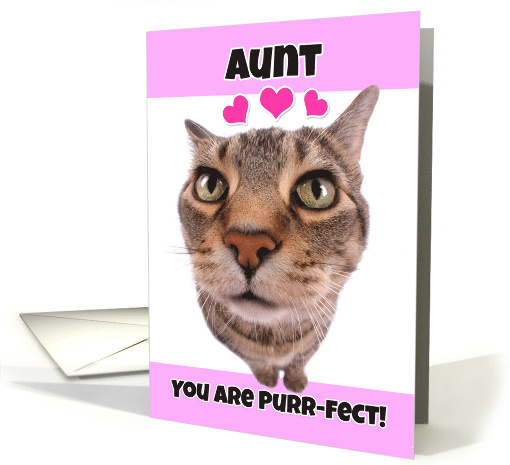 Happy Valentine's Day Aunt Kitty Cat card (1552242)