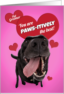 Happy Valentine’s Day Pet Groomer Dad Funny Dog Humor card