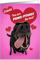 Happy Valentine’s Day Cousin Funny Dog Humor card