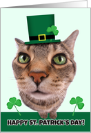 Happy St. Patrick’s Day For Anyone Cat Humor card